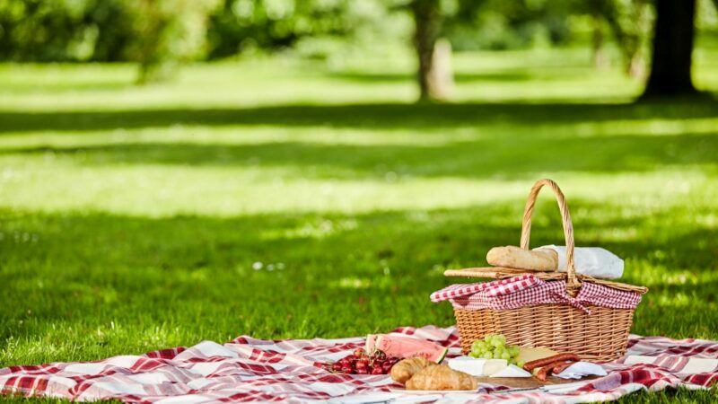 Co wziąć do jedzenia na piknik lub wycieczkę?