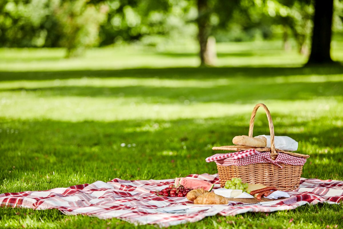 Co wziąć do jedzenia na piknik lub wycieczkę?