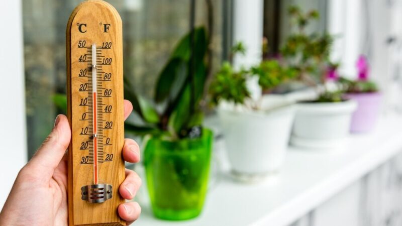 Warszawskie upały: 33°C i silny wiatr w prognozie na 28 sierpnia!
