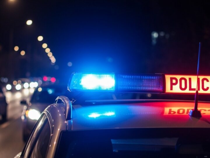 Skradziono samochód z psem w klatce! Właściciel apeluje o pomoc w Bielanach