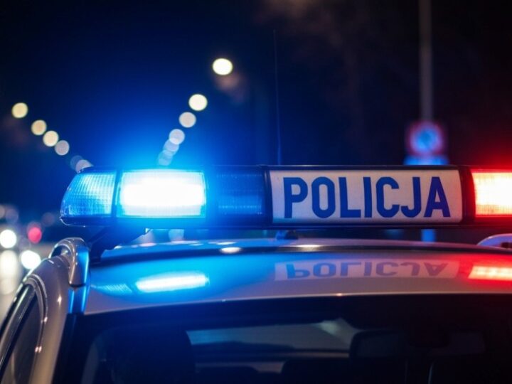 Skradziono samochód z psem w klatce! Właściciel apeluje o pomoc w Bielanach