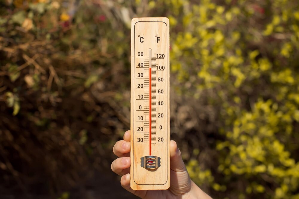 Słoneczny wrzesień w Warszawie: 29°C i idealne warunki na świeżym powietrzu!