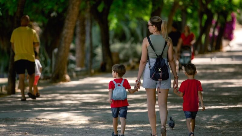 Daj szansę Sajgonowi, Batorkowi i Berdowi – adoptuj swojego nowego przyjaciela!