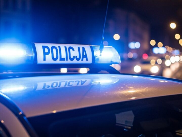 Międzynarodowa walka z przestępczością samochodową: Policjanci z Europy Środkowej i Wschodniej w Warszawie