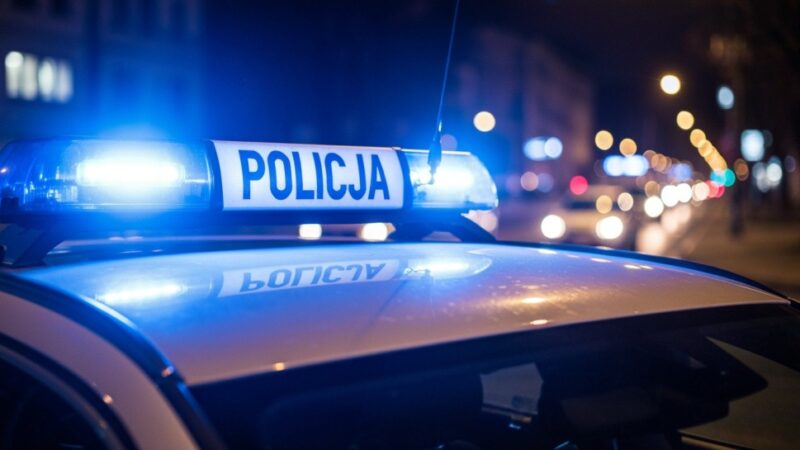 Międzynarodowa walka z przestępczością samochodową: Policjanci z Europy Środkowej i Wschodniej w Warszawie
