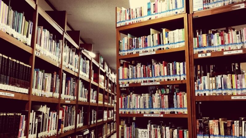 Zagubieni w czasie: Klara i Janek odkrywają tajemnice szafy