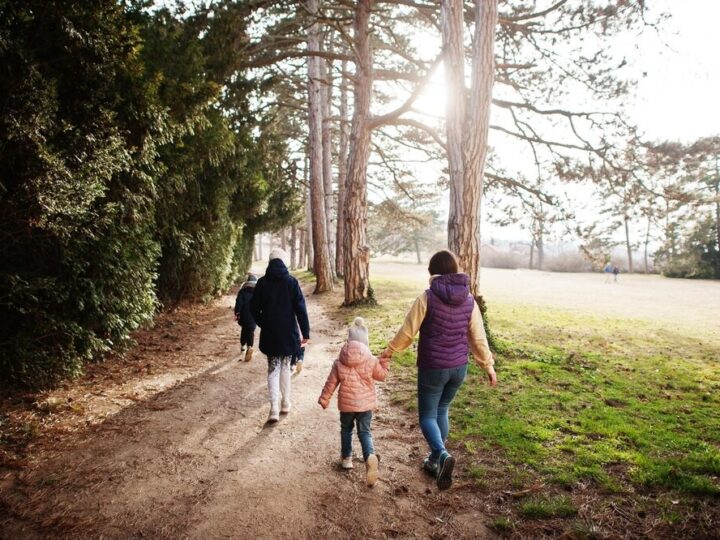 Zbuduj lepsze relacje – dołącz do warsztatów komunikacji w rodzinie