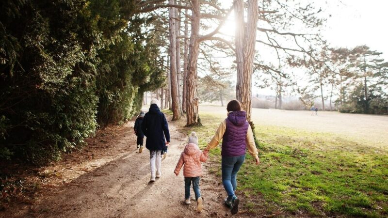 Zbuduj lepsze relacje – dołącz do warsztatów komunikacji w rodzinie