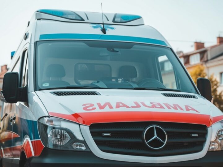 Międzynarodowa akcja ratunkowa na moście Gdańskim