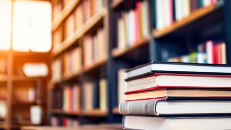 Konie z papieru: Kreatywność w bibliotece!