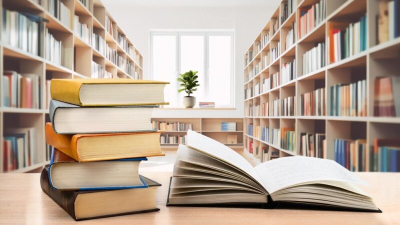 Motyle w nowej odsłonie: odkrywanie magii w bibliotece