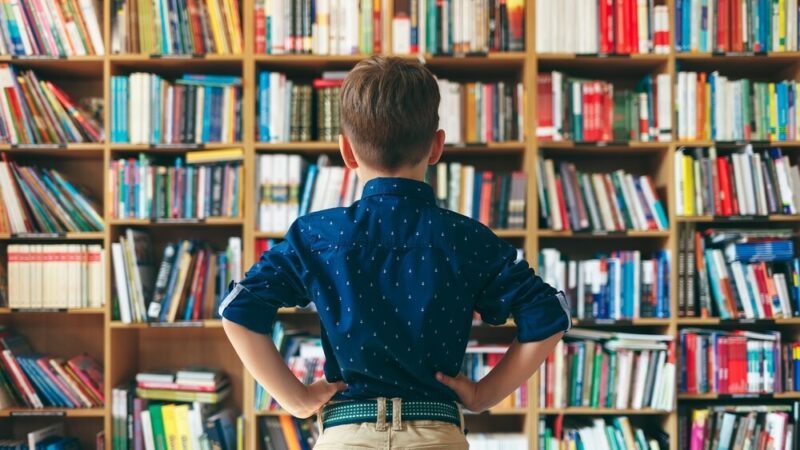 Edukacja z przyszłością: Nowoczesna szkoła i poradnia w Białołęce