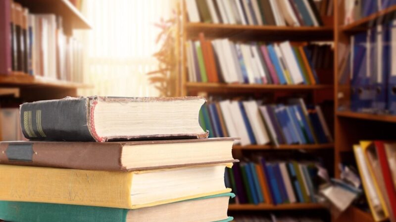 Ursynoteka odkrywa magię książek: dołącz do „Story Time” i „Es hora del cuento”!