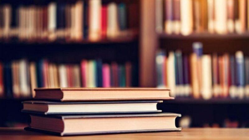 Nowe książkowe skarby w Bibliotece dla Dzieci i Młodzieży nr 43