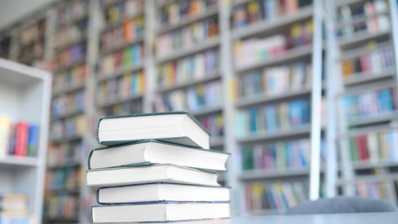 Kolonia Kościuszki: Historia przed Zatrasem na Żoliborzu