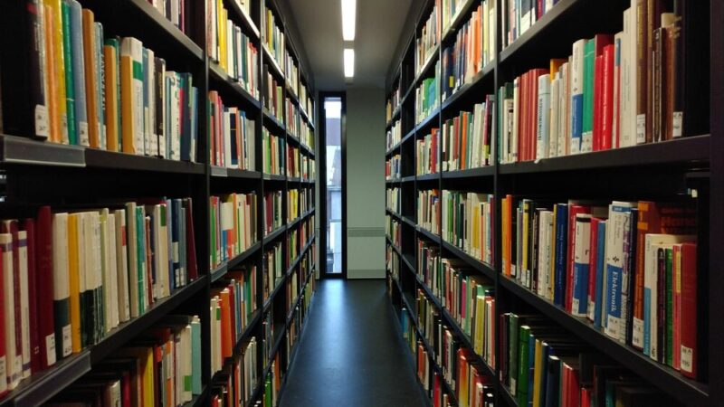 Co sądzą odwiedzający o bibliotece nr 45?