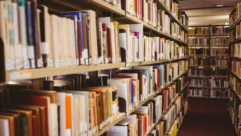 Góry Sowie w literaturze: emocjonalne spotkanie miłośników książek w Białołęce