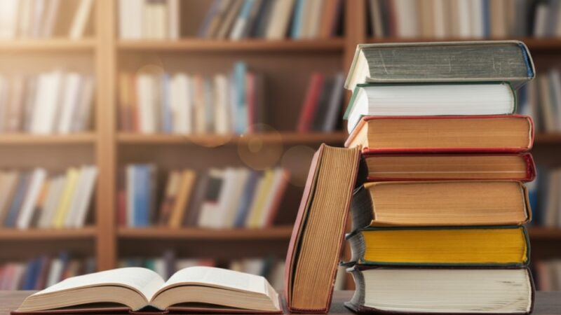 Spotkanie z Katarzyną Zyskowską w praskiej bibliotece: odkryj kulisy „Mroku jest po naszej stronie”