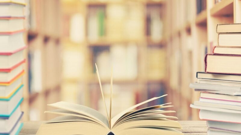 Tomasz Gęsikowski odkrywa tajemnice Misia Margolci w bibliotece