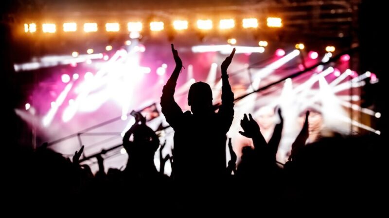 Talenty Ursusa na Wieczornicy Listopadowej w SP 2