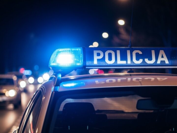 Policja rozbija gang złodziei samochodów: ośmiu zatrzymanych w skoordynowanej akcji