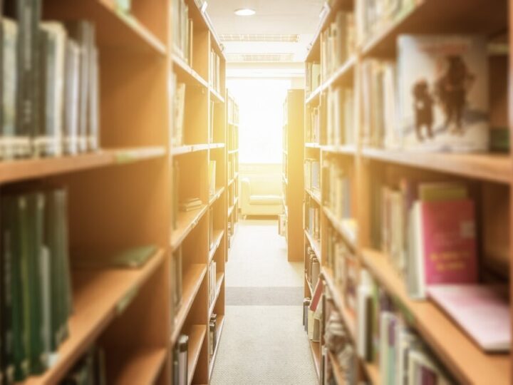 Zbuduj owadzi raj i przyłącz się do Zielonej Warszawy!