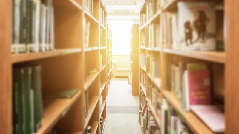 Zbuduj owadzi raj i przyłącz się do Zielonej Warszawy!