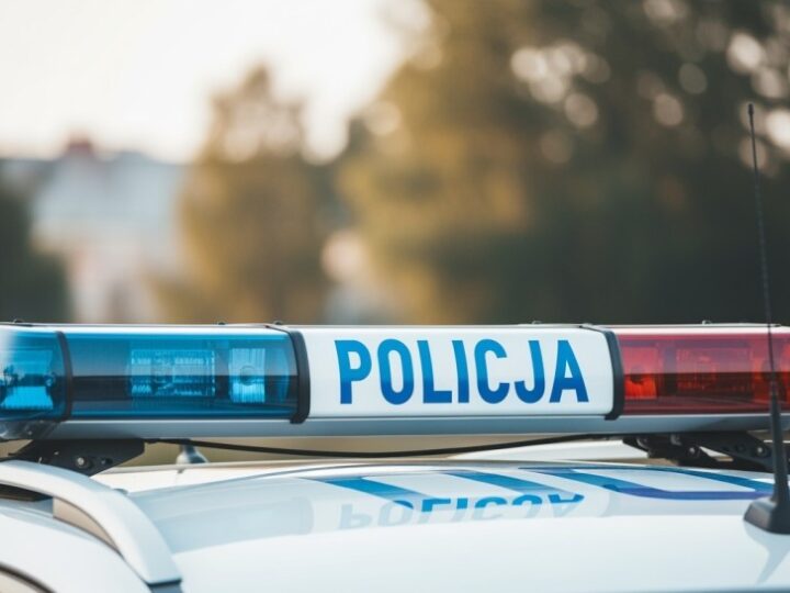 Policja odkryła trzy niewybuchy z czasów II Wojny Światowej