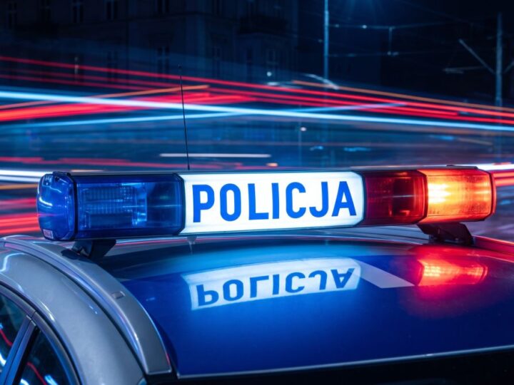 41-latek z Kozienic w areszcie na trzy miesiące za 10 zarzutów