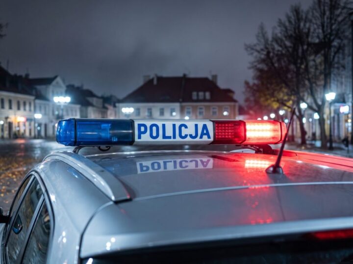 Akcja „Stroisz” przed Wszystkimi Świętymi. Wspólne patrole pilnują lasów przed nielegalną wycinką