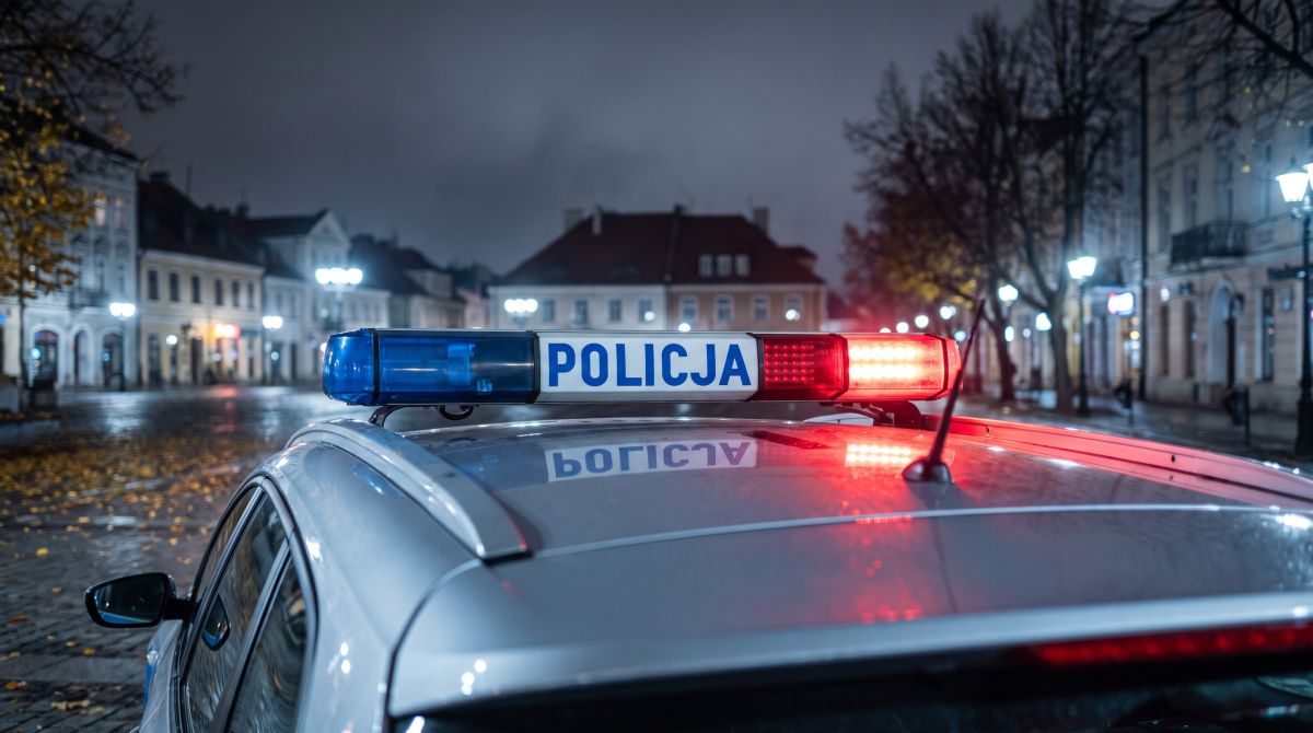 Akcja „Stroisz” przed Wszystkimi Świętymi. Wspólne patrole pilnują lasów przed nielegalną wycinką