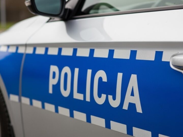 Alfa, policyjny pies, uratował zaginionego seniora