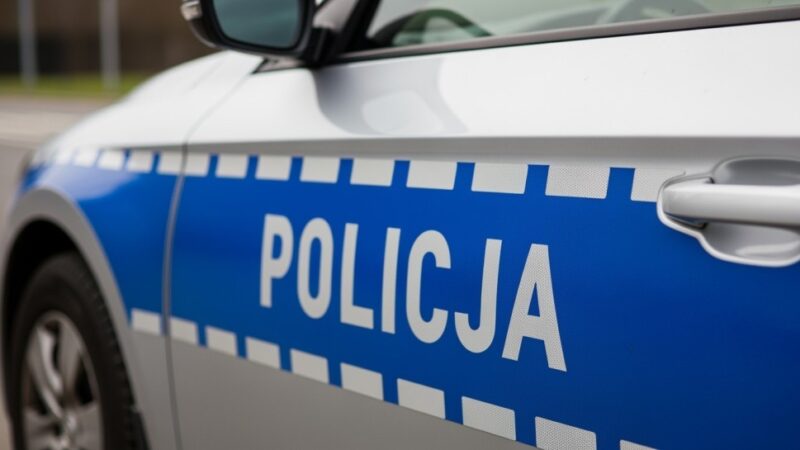 Alfa, policyjny pies, uratował zaginionego seniora
