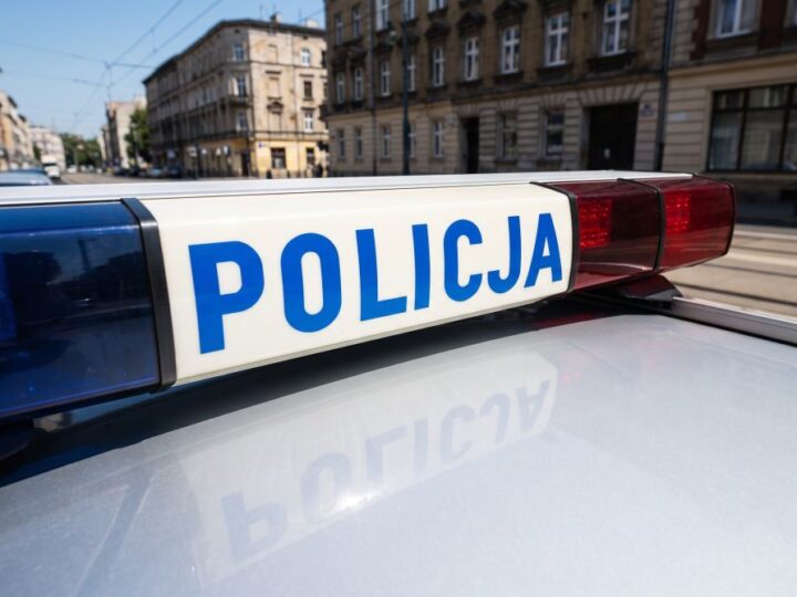 Policja odkrywa dwumetrową konopię w szklarni – właściciel zatrzymany