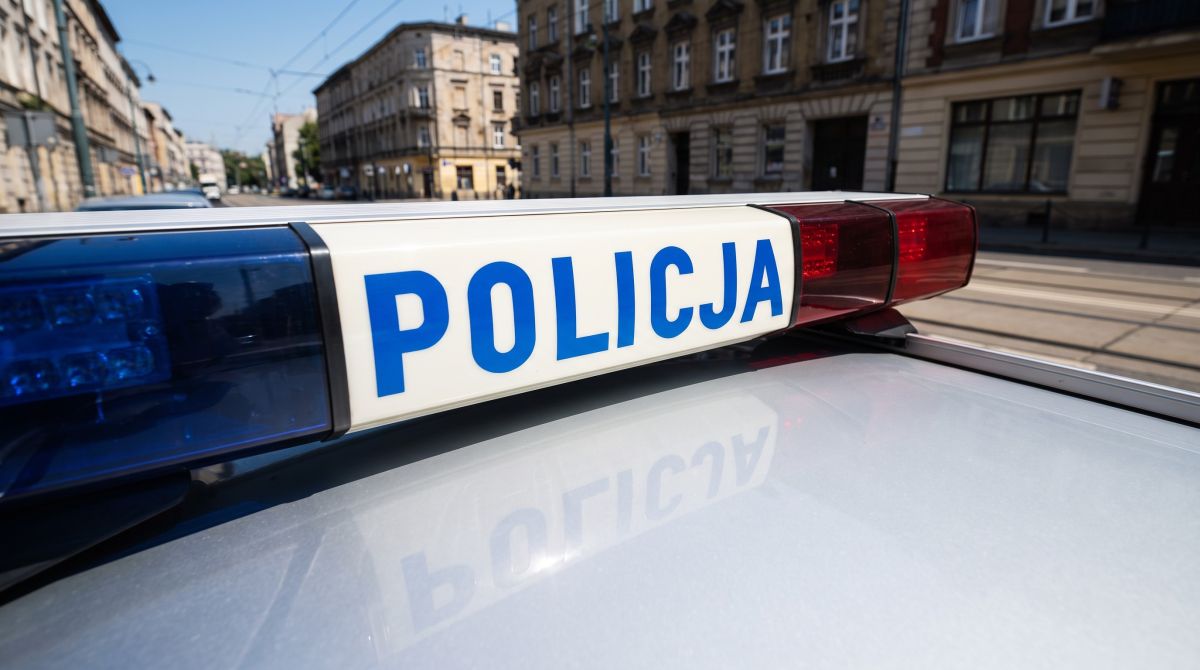 Policja odkrywa dwumetrową konopię w szklarni – właściciel zatrzymany