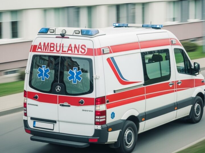 Uważaj na dziką zwierzynę na drodze – Twoje bezpieczeństwo w Twoich rękach!