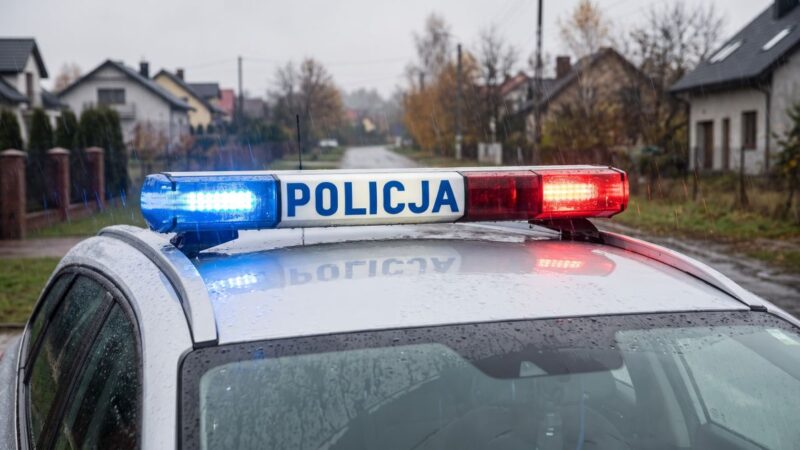 Jesienne wyzwania na drogach: jak zapewnić sobie bezpieczeństwo?