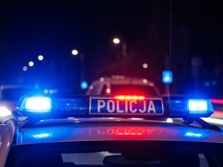 Kobra w akcji: Zatrzymany złodziej z pięcioma listami gończymi